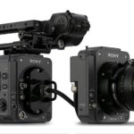 Sony Venice + Rialto
